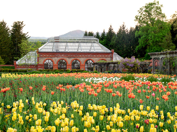 Biltmore Gardens and Conservatory in Asheville NC. 