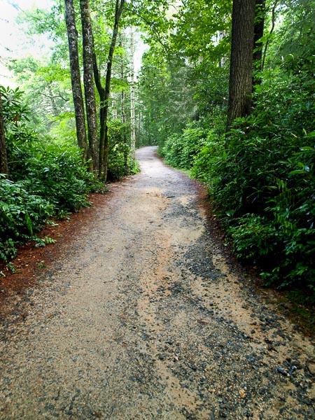 Hiking - Dupont State Forest. 