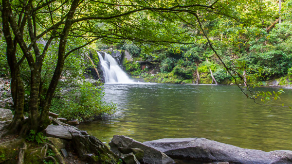 Fun things to do in Asheville NC : Cades Cove in Great Smoky National Park TN. 